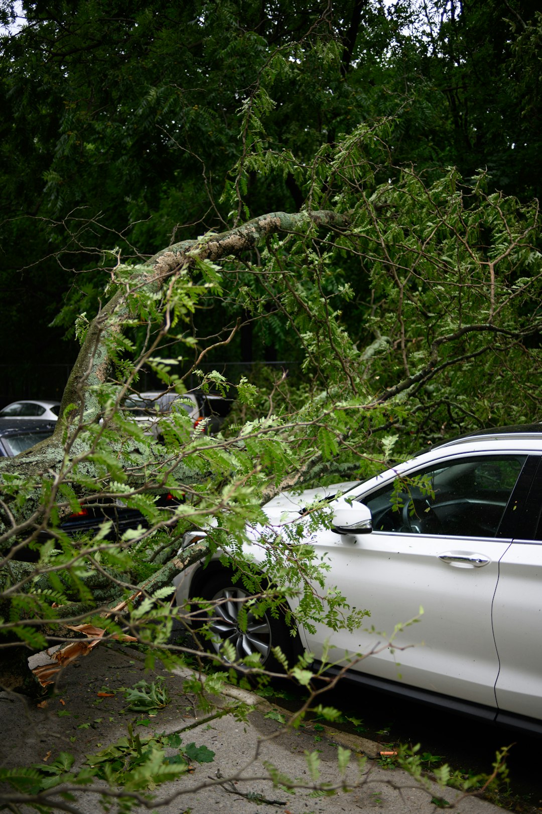Tips for Choosing the Best Car Insurance