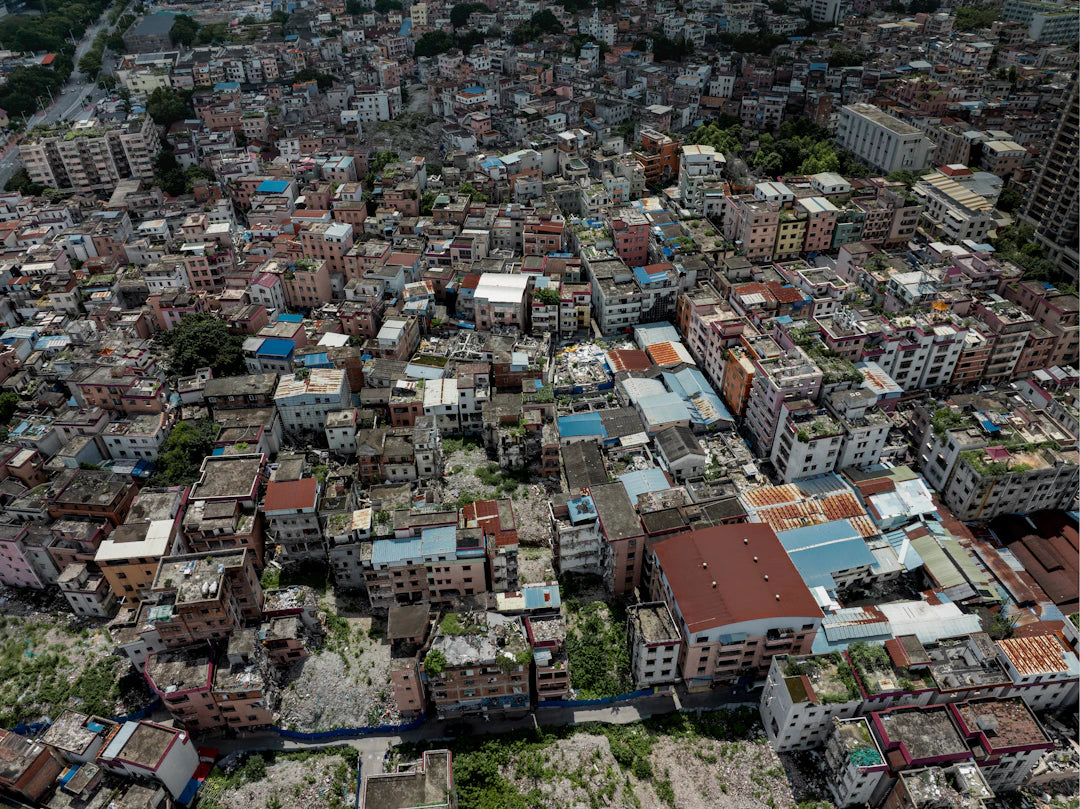 The Evolution of Cars in Our Urban Jungle