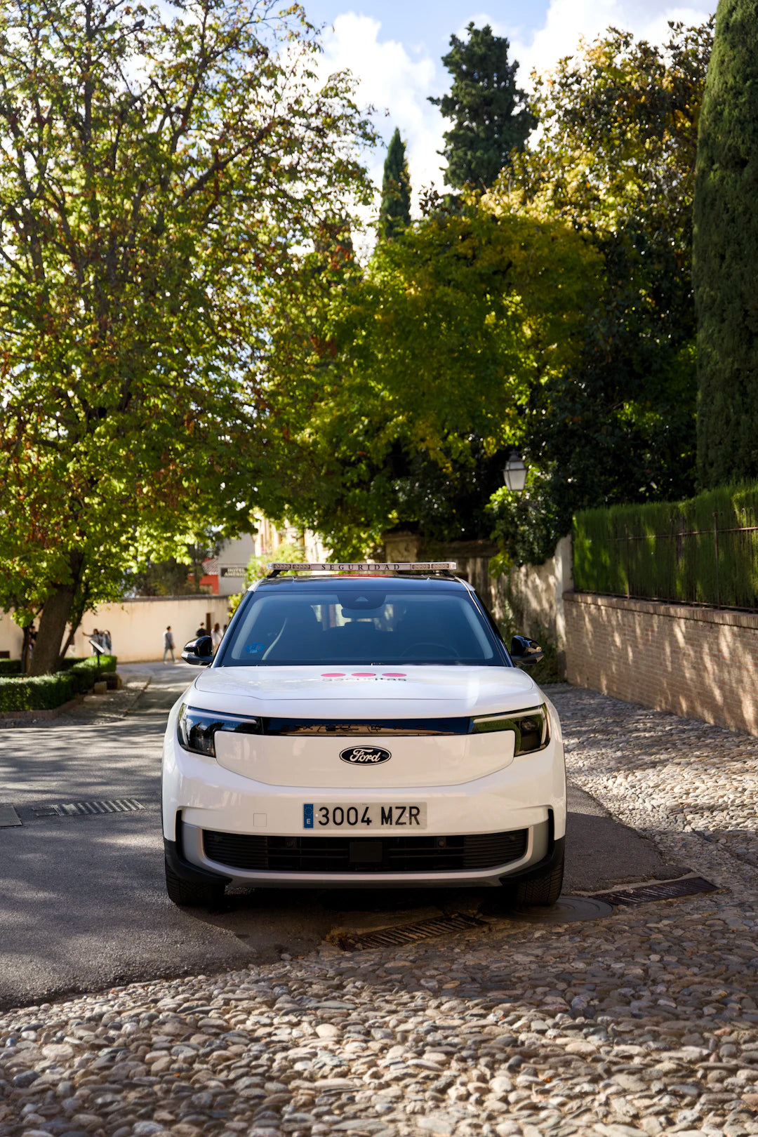 The Impact of Regulations on the Future of Cars