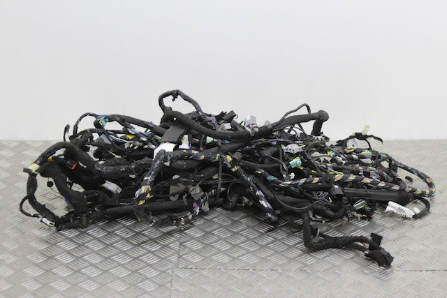 Ford Focus Interior Wiring Loom