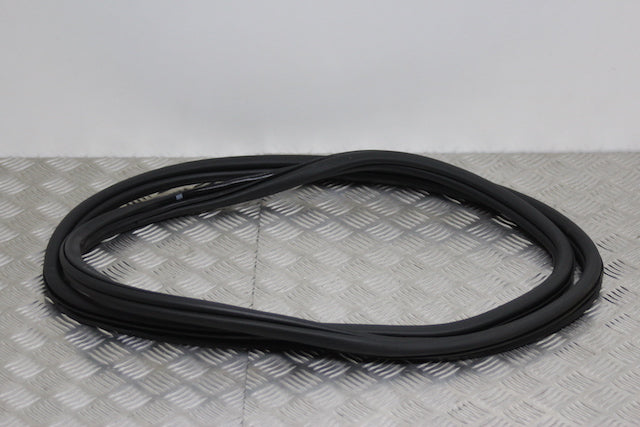 Volkswagen Golf Door Seal Rear Drivers Side
