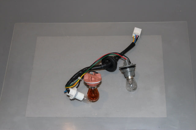 Hyundai i10 Tail Lamp Bulb Holder Passengers Side