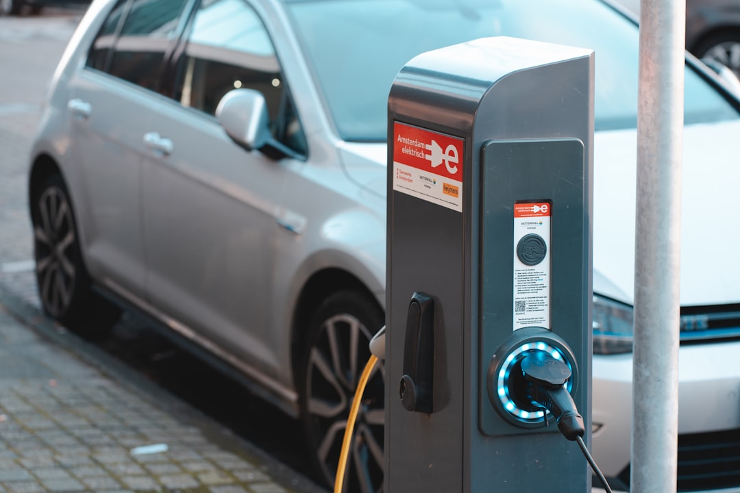 The Future of Car Sharing Services