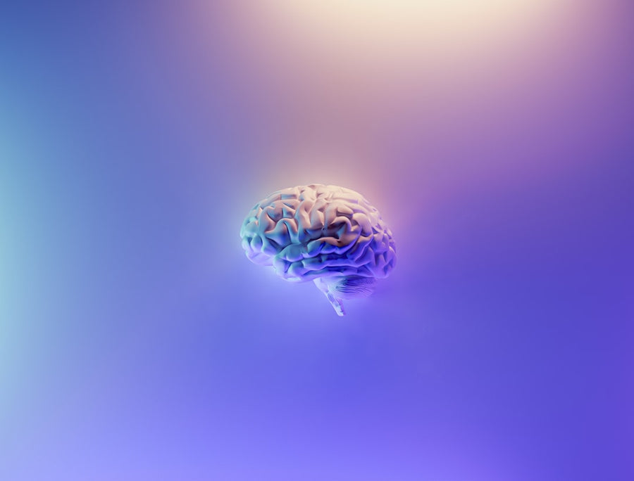 Exploring the Future: Overcoming Challenges in Implementing Self-Driving Cars