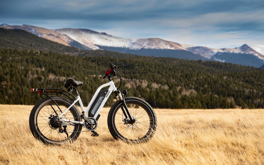 The Rise of Electric Bikes Transforming Our Streets