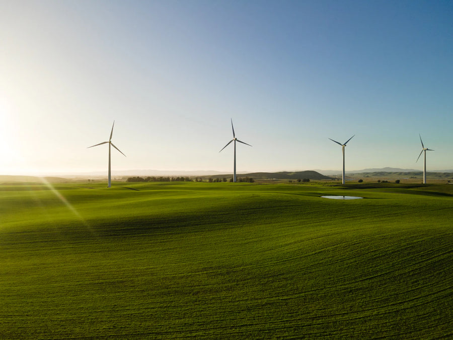 A Comprehensive Guide to Alternative Fuels