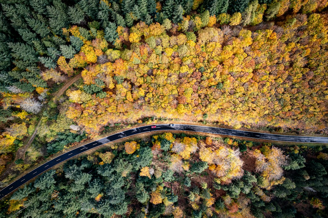The Future of Car Connectivity: Embarking on a Seamless Journey