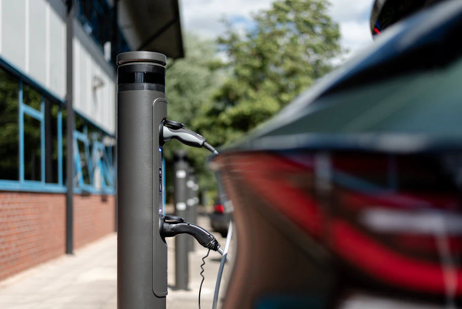 The Impact of Government Regulations on Electric Vehicles