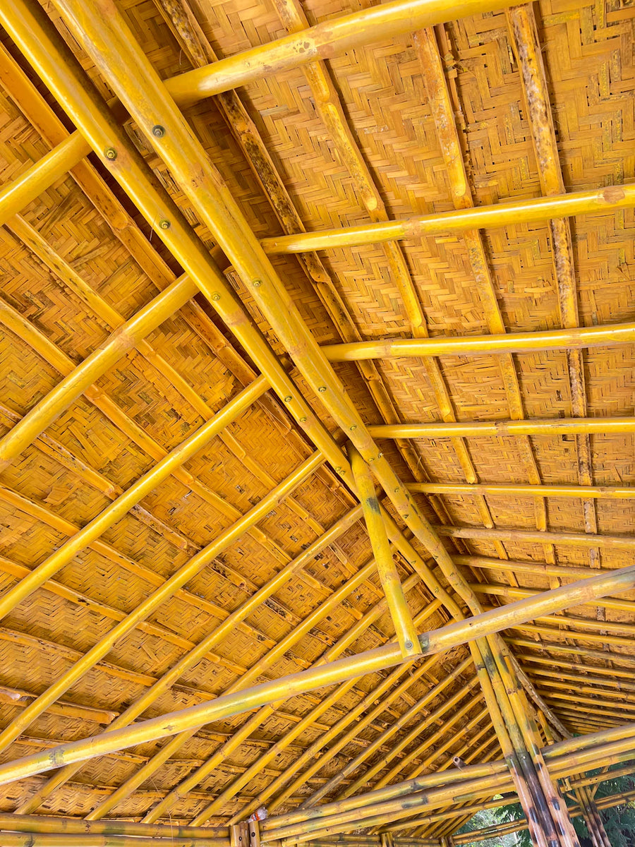 The Vital Role of Sustainable Materials in Car Manufacturing