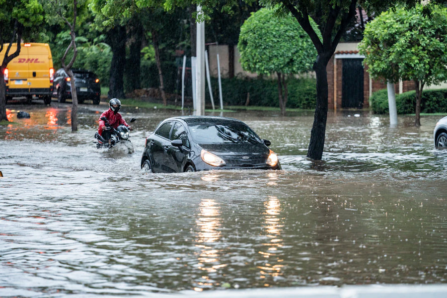 The Impact of Climate Change on Automotive Trends