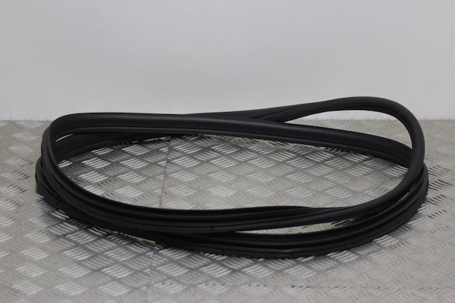 Kia Ceed Door Seal Front Passengers Side 