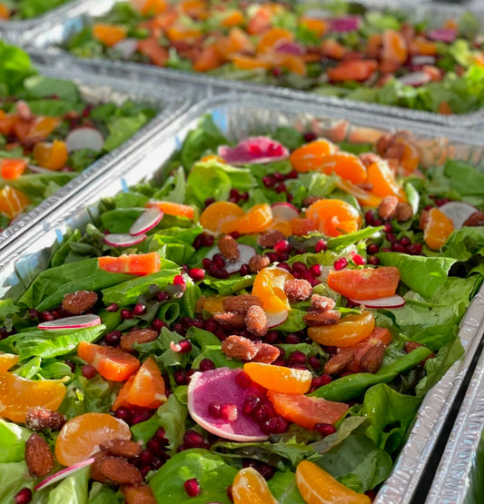 Volkswagen Polo Cooling Radiator Fan Motor 