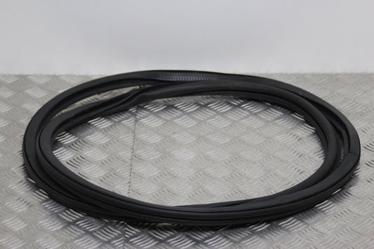 Volkswagen Polo Door Seal Front Passengers Side 