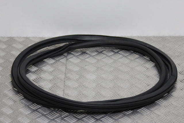 Volkswagen Polo Door Seal Front Passengers Side (2024) - Part photo