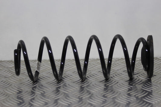 Volkswagen Polo Coil Spring Rear Drivers Side 
