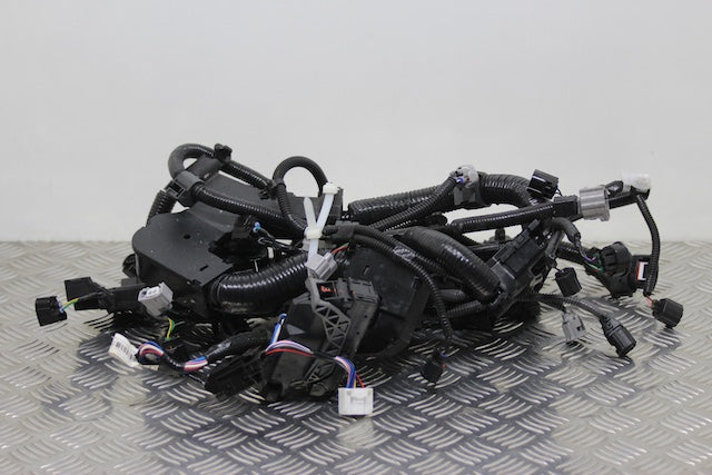 Toyota Corolla Engine Wiring Loom Individual Block Connections Available (2024) - Part photo