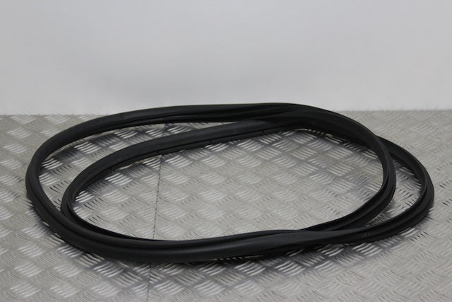 Toyota Corolla Door Seal Front Passengers Side (2024) - Part photo