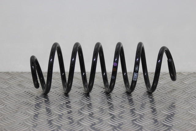 Ford Focus Coil Spring Rear Passengers Side