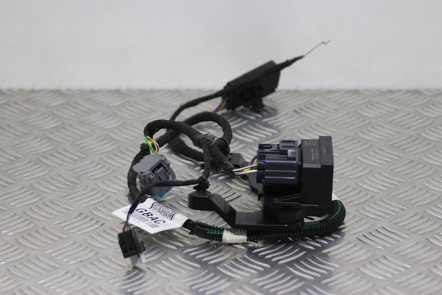 Ford Focus Fuel Control Module (2023)
