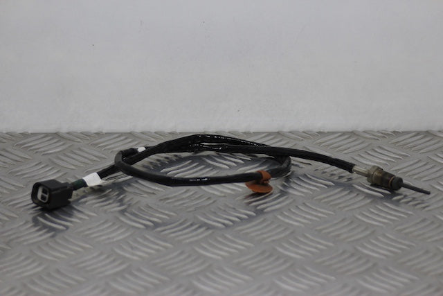 Ford Focus Exhaust Emission Temperature Sensor No1 (2023)