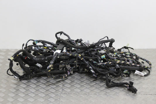 Ford Focus Interior Wiring Loom