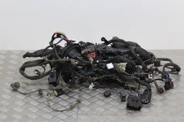Ford Focus Engine Wiring Loom Individual Block Connections Available