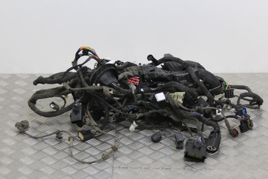 Ford Focus Engine Wiring Loom Individual Block Connections Available