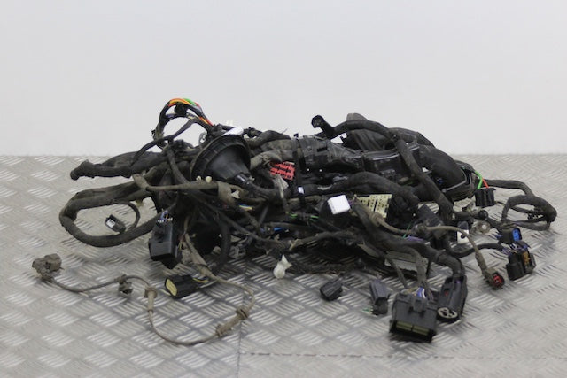Ford Focus Engine Wiring Loom Individual Block Connections Available (2023)