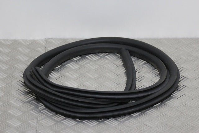 Ford Focus Door Seal Front Passengers Side