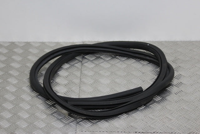 Ford Focus Door Seal Rear Passengers Side