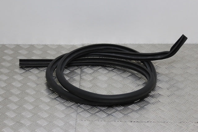 Ford Focus Door Seal Front Drivers Side