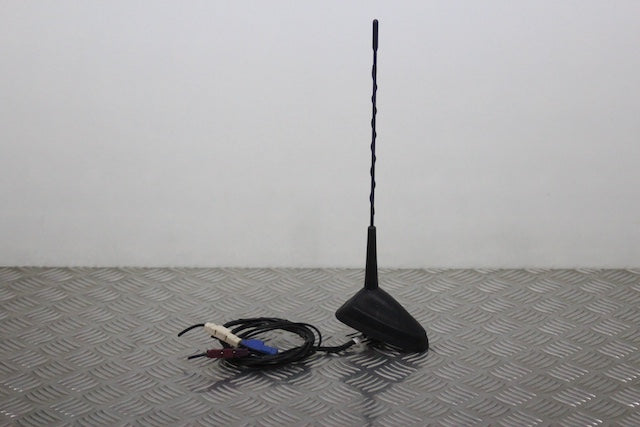 Renault Scenic Aerial with Socket (2011)