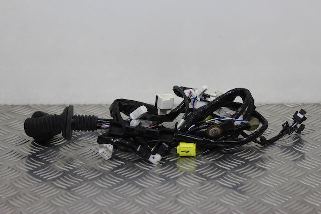 Toyota Yaris Door Wiring Loom Front Drivers Side