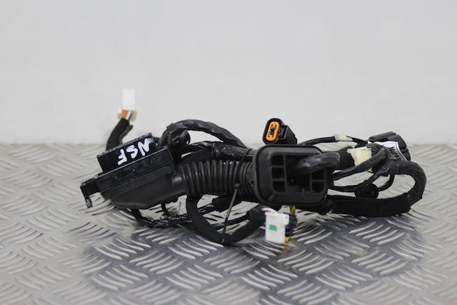 Hyundai i20 Door Wiring Loom Front Passengers Side (2023) - Part photo