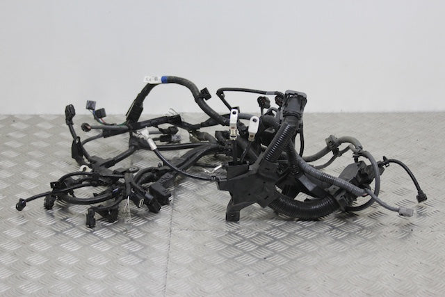 Toyota Yaris Engine Wiring Loom Individual Block Connections Available (2024)