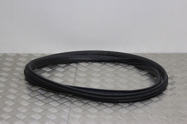 Dacia Jogger Door Seal Front Drivers Side