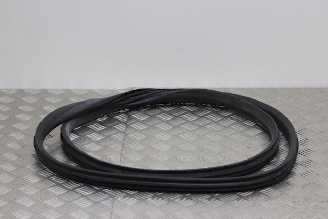 Dacia Jogger Door Seal Front Passengers Side
