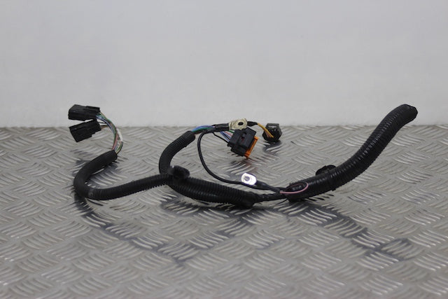 Dacia Jogger Wiring Harness Front Passengers Side