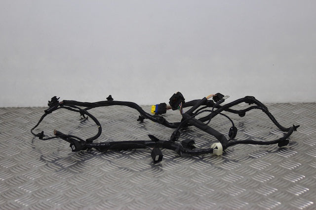 Dacia Jogger Wiring Harness Front Drivers Side