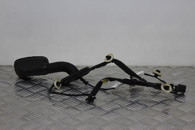 Dacia Sandero Door Wiring Loom Rear Drivers Side