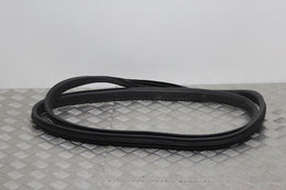 Dacia Sandero Door Seal Front Passengers Side