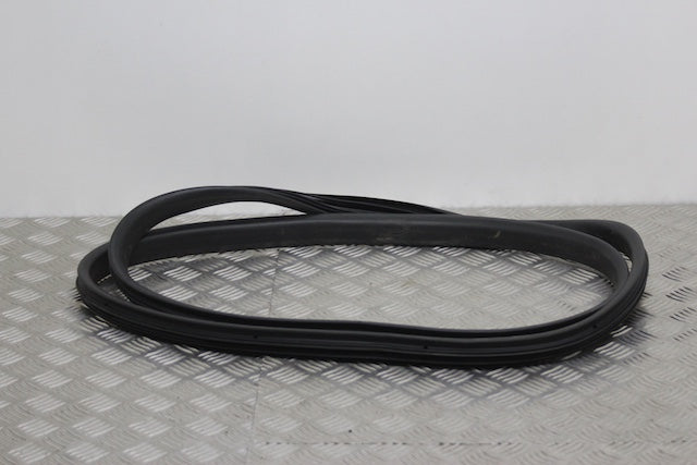 Dacia Sandero Door Seal Front Passengers Side