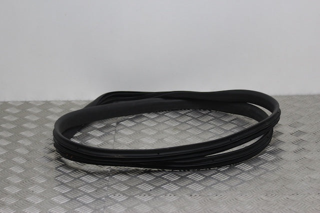 Dacia Sandero Door Seal Front Drivers Side (2023)