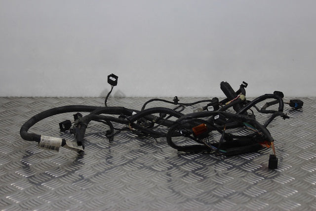 Dacia Sandero Wiring Harness Front Passengers Side