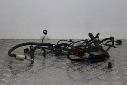 Dacia Sandero Wiring Harness Front Passengers Side