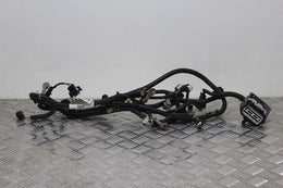 Wiring Harness Front Passengers Side