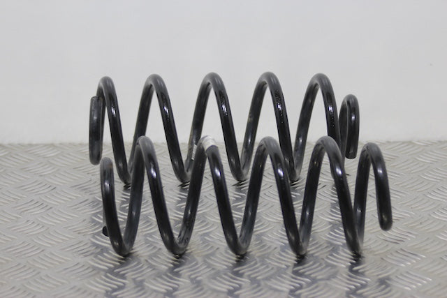 Coil Spring Rear x2