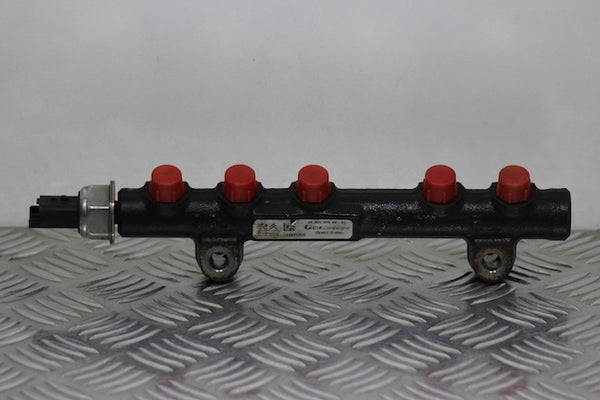 Ford C-Max Fuel Injector Rail (2011) - 1