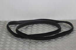 Door Seal Front Drivers Side