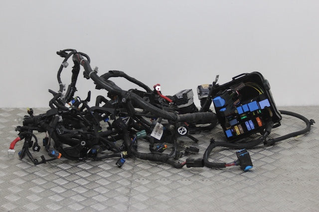 Dacia Duster Engine Wiring Loom  Individual Block Connections Available 2023–2025